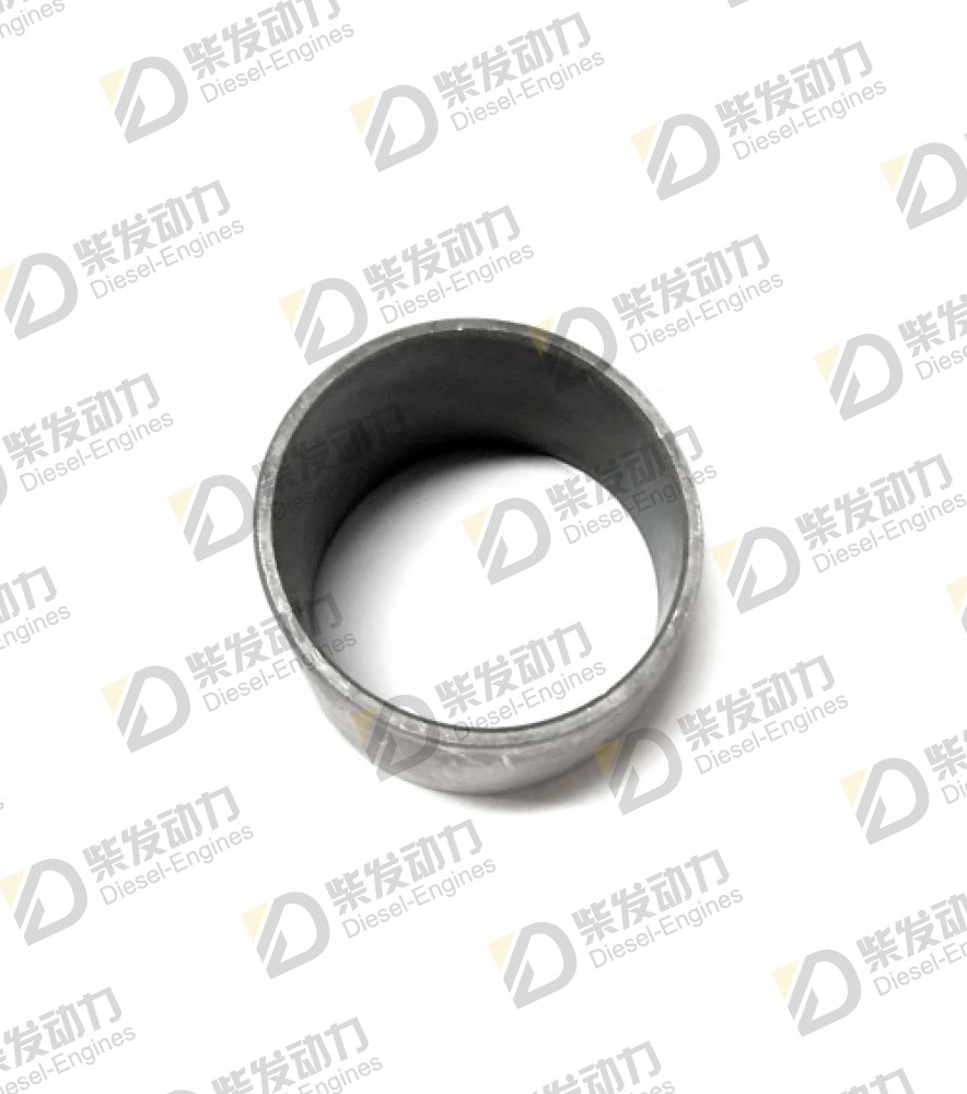 Bushing 20381185 